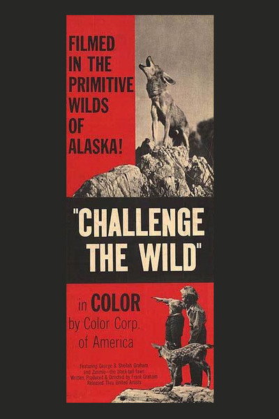Póster de Challenge the Wild