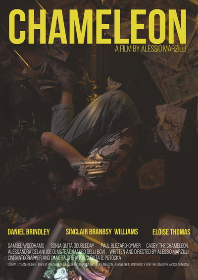 Póster de Chameleon