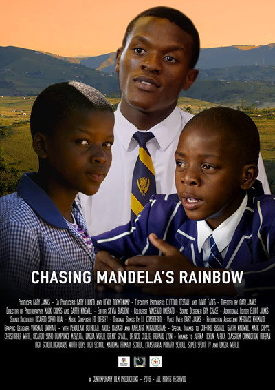 Póster de Chasing Mandela's Rainbow