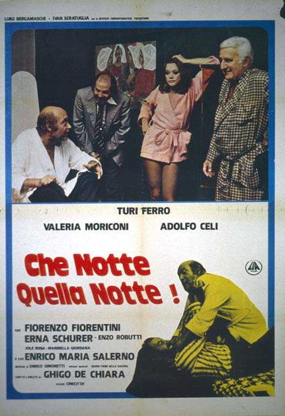 Póster de Che notte quella notte!