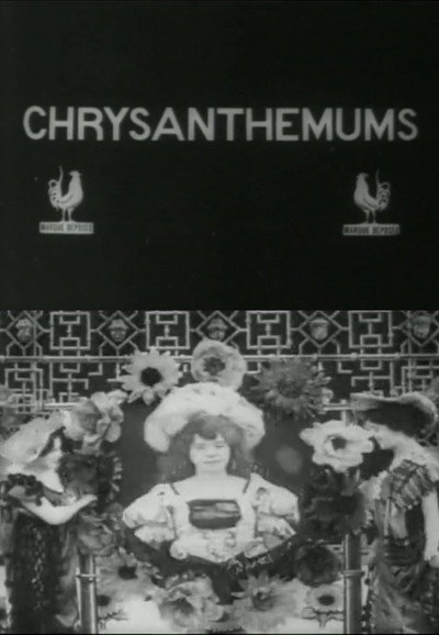 Póster de Chrysanthemums