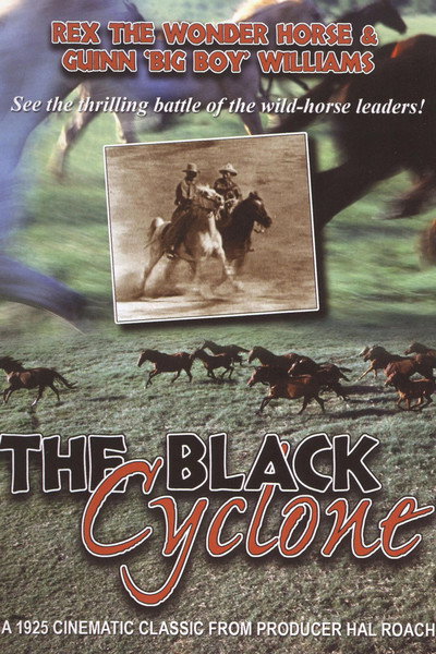 Póster de Ciclón negro