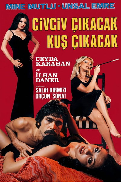 Póster de Civciv Çikacak Kus Çikacak