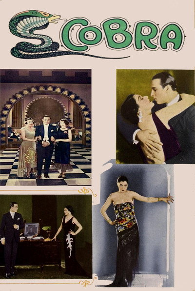 Póster de Cobra