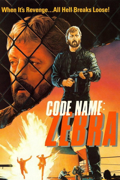 Póster de Code Name Zebra
