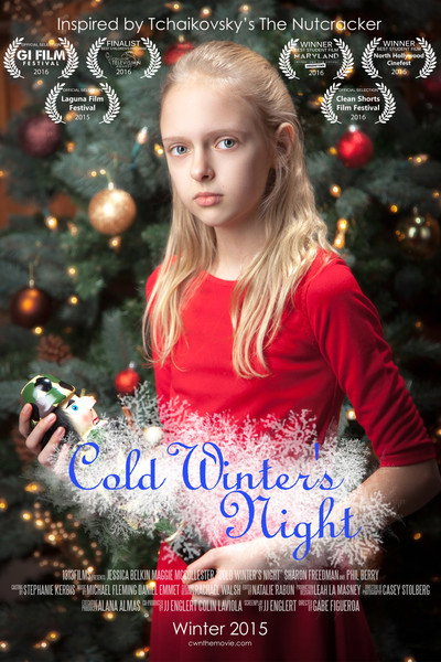 Póster de Cold Winter's Night