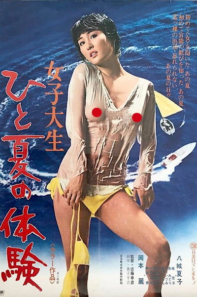 Póster de College Girl: One Summer Experience