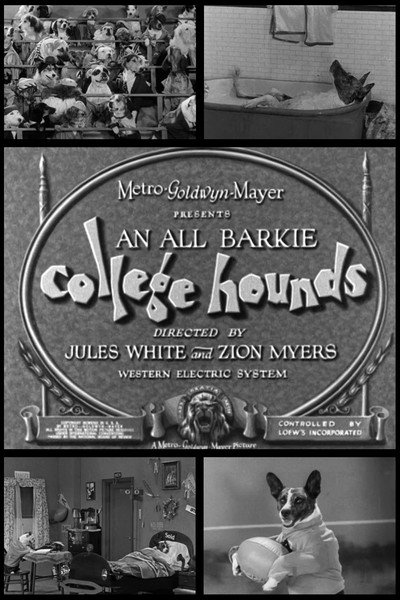 Póster de College Hounds