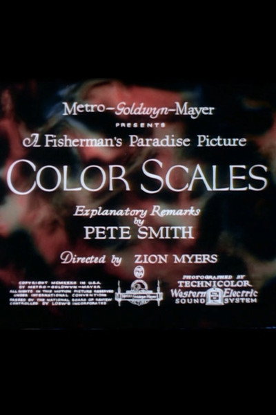 Póster de Color Scales