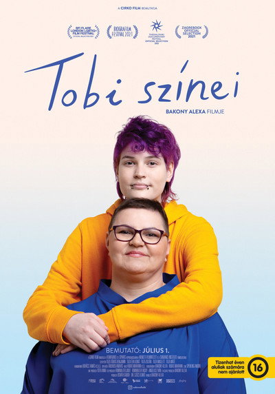 Póster de Colors of Tobi