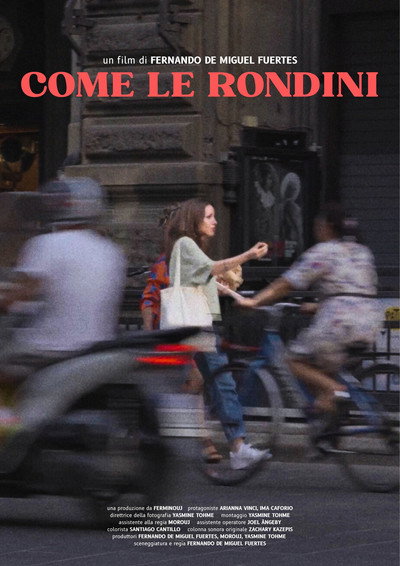 Póster de Come le rondini
