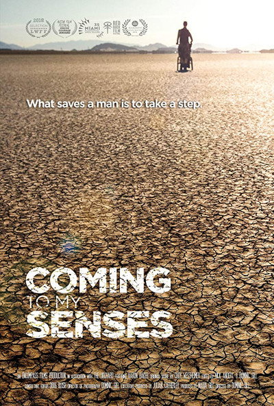 Póster de Coming to My Senses