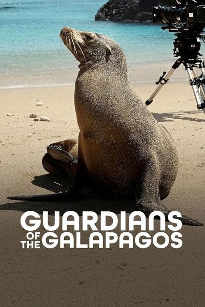 Póster de Cómo se hizo Los leones marinos de las Galápagos