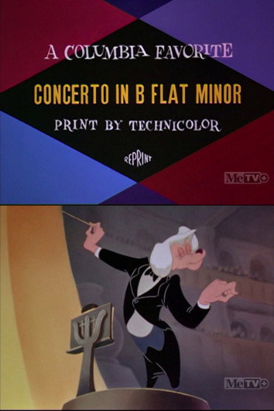 Póster de Concerto in B Flat Minor