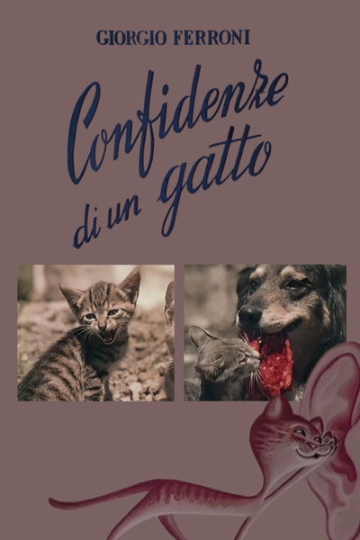 Póster de Confidenze di un gatto