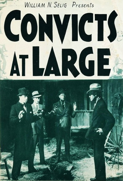 Póster de Convicts at Large