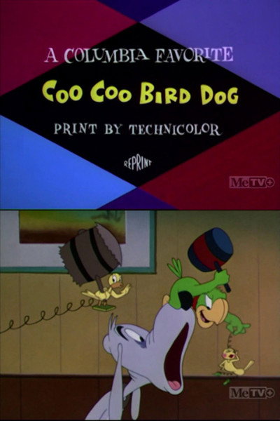 Póster de Coo-Coo Bird Dog