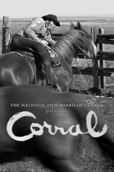 Póster de Corral
