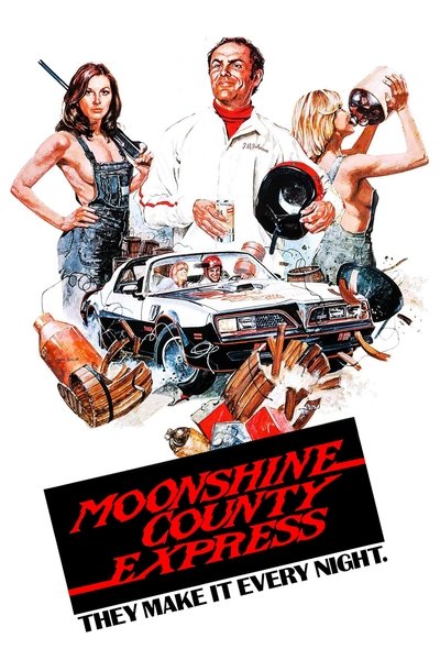 Póster de County Express
