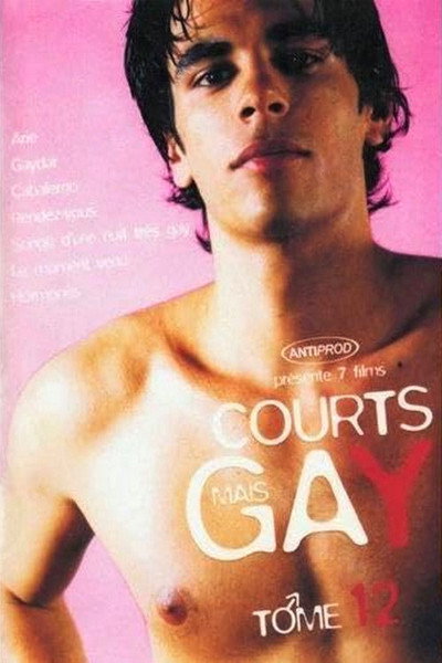 Póster de Courts mais GAY: Tome 12