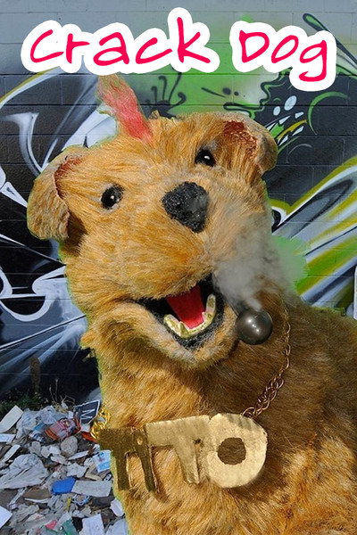 Póster de Crack Dog