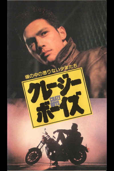Póster de Crazy Boys