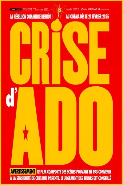 Póster de Crise d'ado