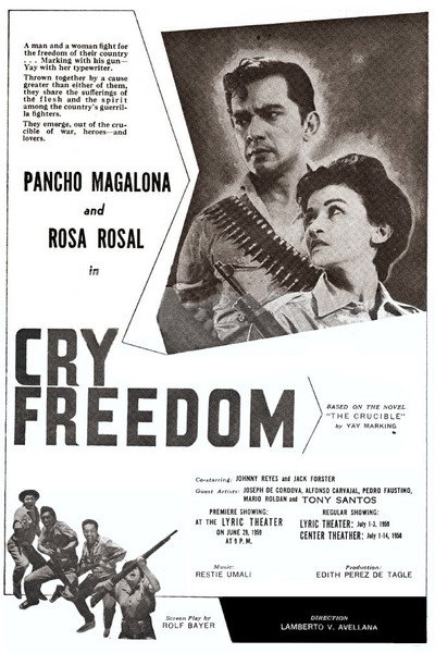Póster de Cry Freedom