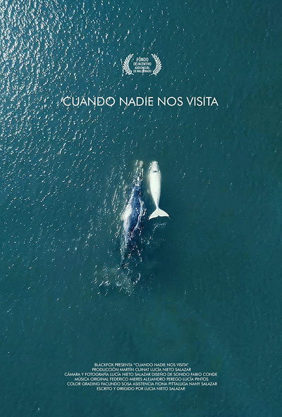 Póster de Cuando nadie nos visita