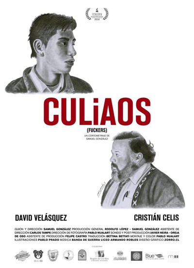Póster de Culiaos