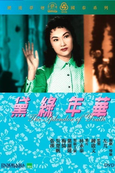 Póster de Dai lu nian hua