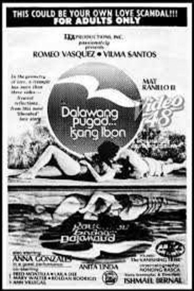 Póster de Dalawang pugad... Isang ibon