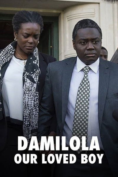 Póster de Damilola, Our Loved Boy