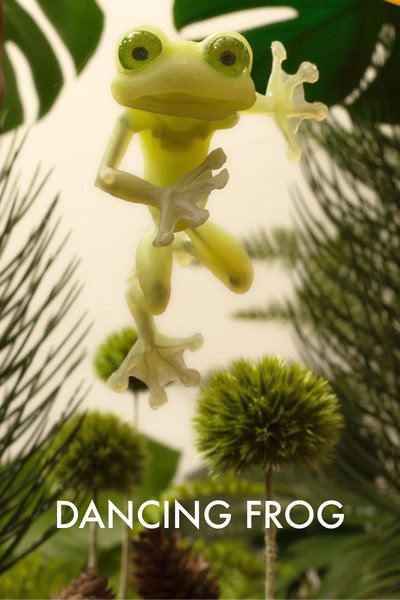 Póster de Dancing Frog