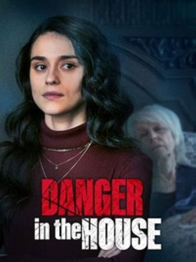 Póster de Danger in the House