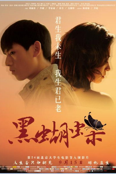 Póster de Dark Butterfly