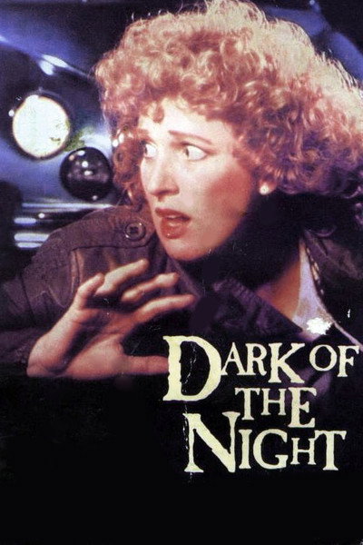 Póster de Dark of the Night