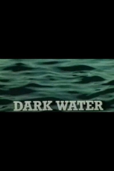 Póster de Dark Water