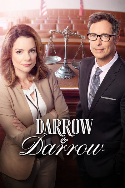 Póster de Darrow & Darrow