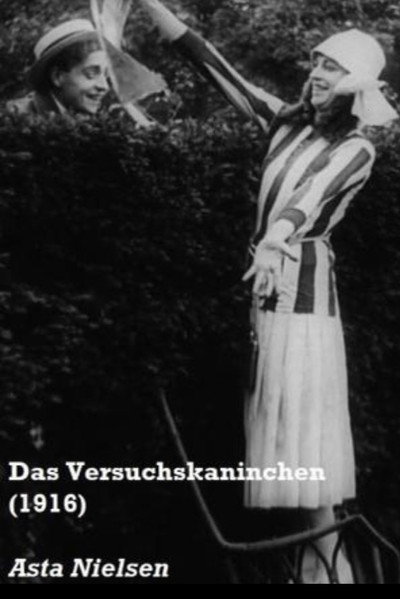 Póster de Das Versuchskaninchen