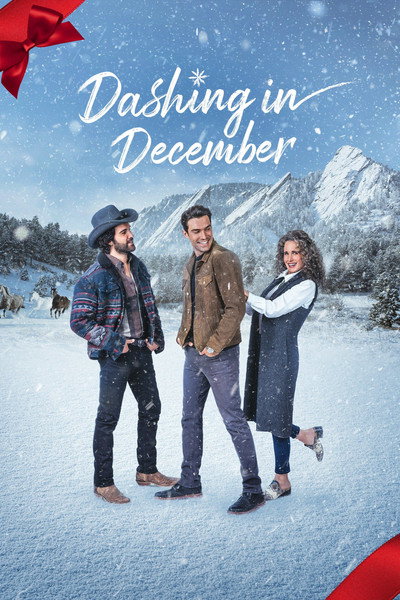 Póster de Dashing in December