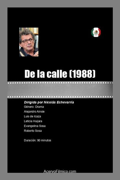 Póster de De la calle