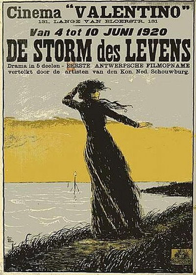 Póster de De storm in het leven