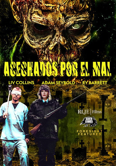 Póster de Deadsight