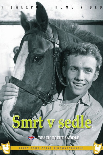 Póster de Death in the Saddle