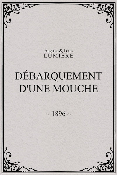 Póster de Débarquement d'une mouche