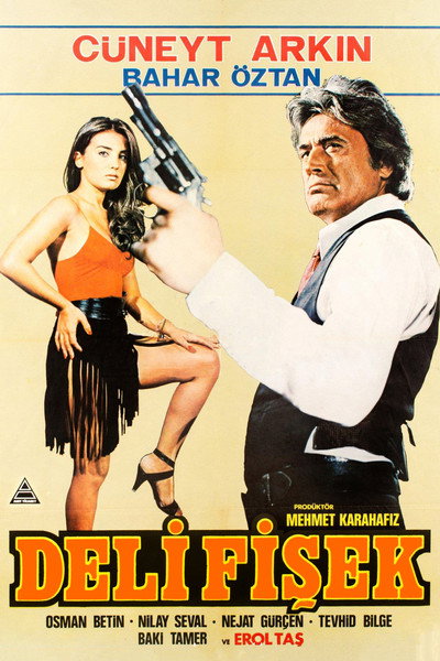 Póster de Deli Fisek