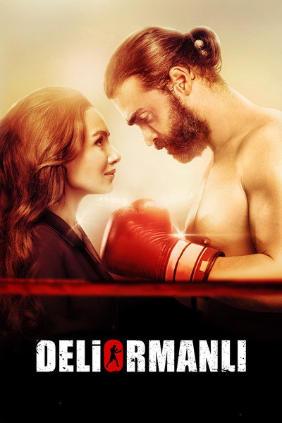 Póster de Deliormanli