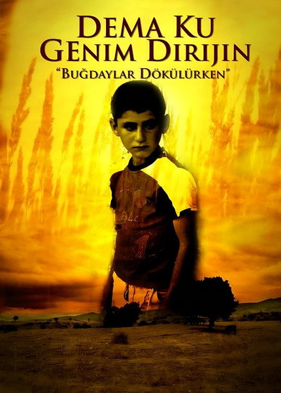 Póster de Dema ku genim dirijin