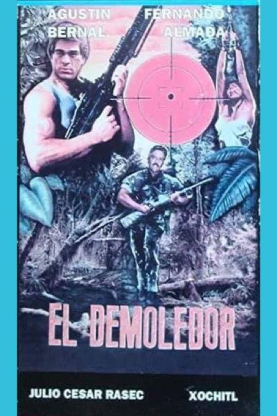 Póster de Demoledor